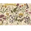 Image de Trefl Herbier : Herbes Médicinales