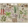 Image de Trefl Finders Keepers: Spices Collection