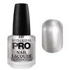 Image de Vernis Classique 15 ml Mollon Pro Silver Shimmer - 221