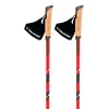 Image de Canne de Marche Nordique Viking Kube Pro | r.Compact | ===> Année 2021