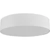 Image de TK Gruppe Timo Klingler  1581 Philips 664711 Halogen bulbs 35 W G8.5, 60 W, Blanc