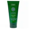 Image de Shampooing Cheveux Gras Herbes 200ml