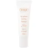 Image de ZIAJA Sunny Mango Lip Balm 12ML with Shine