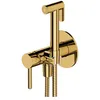 Image de Omnires SYSYBI2GL, Système de bidet encastré Y, Gold
