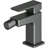 Image de Omnires PM7420GR Parma Robinet de Bidet, Graphite