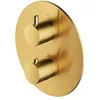 Image de Omnires Y1236ROGLB Y Robinet thermostatique de Douche et de Bain à encastrer (élément extérieur), Gold