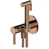 Image de Omnires SYSYBI2CP Y Système de Bidet encastré, Copper