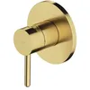 Image de Omnires Y1245BSB Y Robinet de Douche encastré, Brass