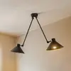 Image de Argon Suspension Alan, mobile, noire, à 2 lampes