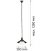 Image de Argon Suspension d'extérieur Enduro, noir, acier, verre, IP44, E27