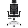 Image de Diablo V-Basic Chaise de Bureau Ergonomique Accoudoirs 3D Dossier Réglable Appuie-tête Fonction Bascule Tissu Résille (Blanc-Noir)