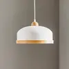 Image de Eko-Light Suspension Studio avec décor bois à 1 lampe blanc