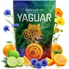 Image de Yaguar Naranja Earl Grey Yerba Maté du Brésil 500 g Yerba Maté avec zeste d'orange et huile de bergamote Caféine naturelle Contient des vitamines des minéraux des antioxydants Goût équilibrée