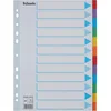Image de Esselte Intercalaires A4 12 Touches, Bleu/Multicolore, Carton Résistant Recyclé, 12 Onglets avec Table des Matières, 100194