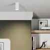 Image de Euluna Downlight Eye S en forme de cylindre, blanc