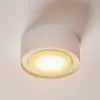 Image de Euluna Spot pour plafond Flea en acier, blanc
