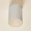 Image de Euluna Spot pour plafond Eye Tone en forme de cylindre blanc