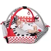 Image de Canpol Babies  aidim  kilimÄ lis Sensory Toys 68/077