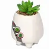 Image de Plantes Grasses KADAX en Pot en céramique, Plantes artificielles en Pot, Fausse Plante, Petite Plante Artificielle, Plante décorative pour Salon, Bureau (Hauteur 16cm, Blanc)