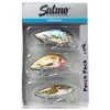 Image de Salmo Perch Multi Pack Lot de 3 leurres pour la pêche à la perche, kit de pêche, leurres, hardbaits