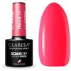 Image de 14 Neon UV Vernis à Ongles 5ml Claresa