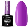 Image de 12 Vernis à Ongles Neon UV 5ml Claresa