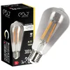 Image de EDO Vintage Ampoule Décorative DARI E27 Filament 7W Blanc Chaud 1800K 300lm SMOKE ST64 Ampoule de Décoration LED - Idéal pour le Design Rétro et Industriel, Non Dimmable