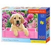 Image de Castorland - B-030071 - Puzzle - Chiot Labrador - 300 Pièces