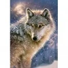 Image de Castorland Loup Solitaire