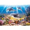Image de Castorland Le Monde des Dauphins