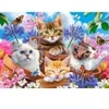 Image de Castorland Chats avec Fleurs