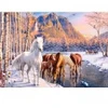 Image de Castorland Fonte d'Hiver