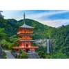 Image de Castorland Seiganto-ji, Japon