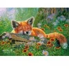 Image de Castorland Rêves de Renard