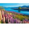 Image de Castorland Lac Tekapo, Nouvelle-Zélande