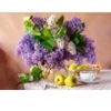 Image de Castorland Nature Morte Lilas
