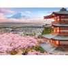 Image de Castorland Le Printemps au Japon