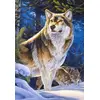 Image de Castorland Puzzle CSC104062, Divers