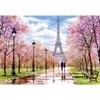 Image de Castorland Promenade Romantique à Paris