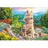 Image de Castorland Puzzle 1000 pièces - Nouvelle génération