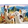 Image de Castorland Selfie de Lamas