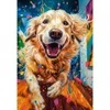 Image de Castorland Euphoric Spectrum