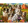 Image de Castorland Happy Dogs In The Countryside