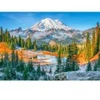 Image de Castorland Mount Rainier National Park, USA