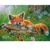 Image de Castorland Rêves de Renard