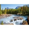 Image de Castorland Canada, Parc National de Jasper : Rivière Athabasca