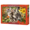 Image de Castorland Puzzle CSC151899