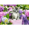Image de Puzzle 1500 pièces : Chaton dans Son Panier