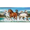 Image de Castorland CSC200702 Puzzle Divers