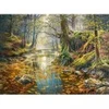 Image de Castorland Réminiscence de la Forêt d'Automne